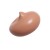 Nutmeg BBFCR04 