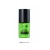 Popping Lime - SP203 